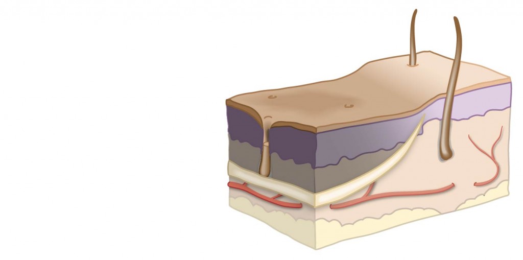 Draft - will be updated