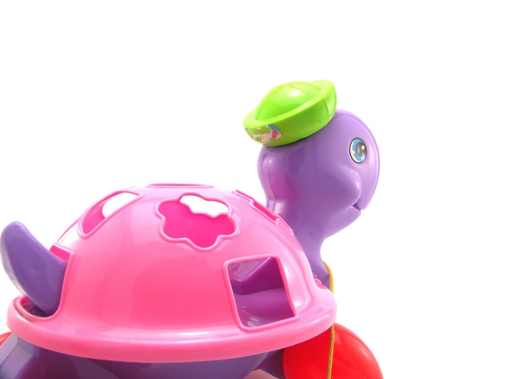 KONICA MINOLTA DIGITAL CAMERA