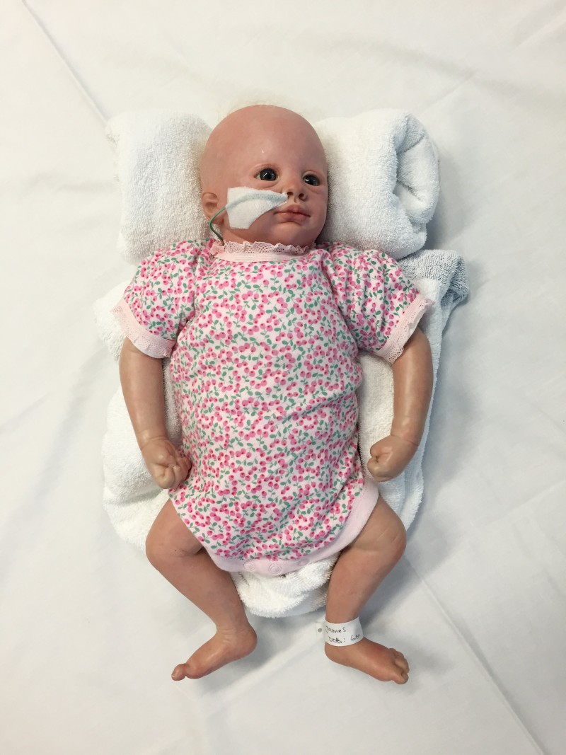 Photo 27-2-17, 2 03 11 pm