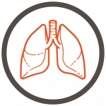 Work of Breating - orange