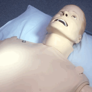 Simman3g - Convulsions