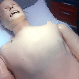 SimMan3G - Defib Attachment