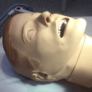 SimMan3G - Head Tilt Chin Lift