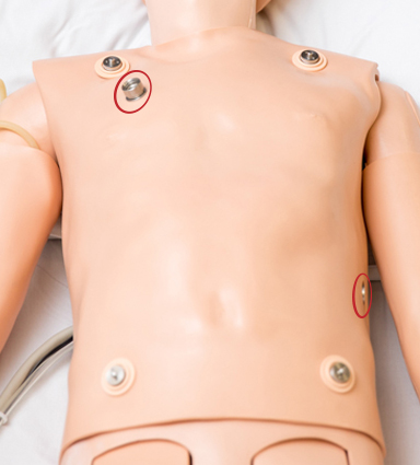 SimJunior_chest_cropped_with_markers