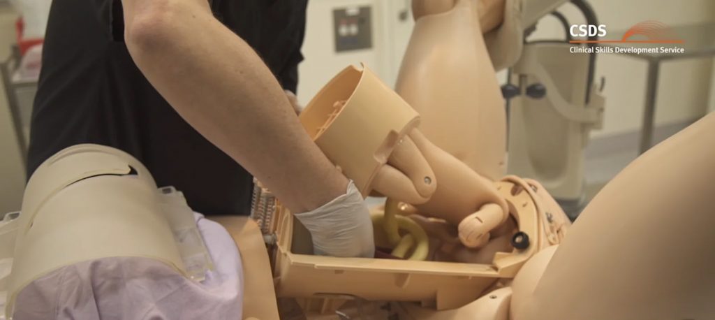 SimMom-ADM-screengrabs-1_0003_3-OA