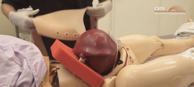 SimMomModules-screengrabs-1_0000_Boggy U