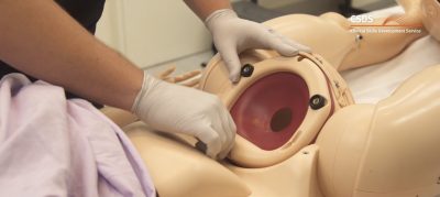 SimMomModules-screengrabs-1_0006_CERVIX