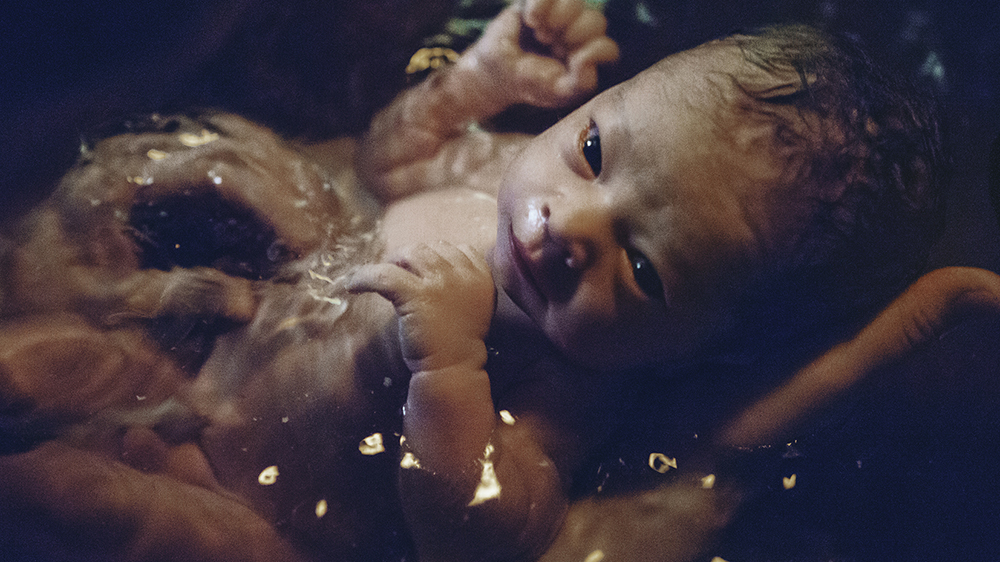 module2 image 1000x562cropped