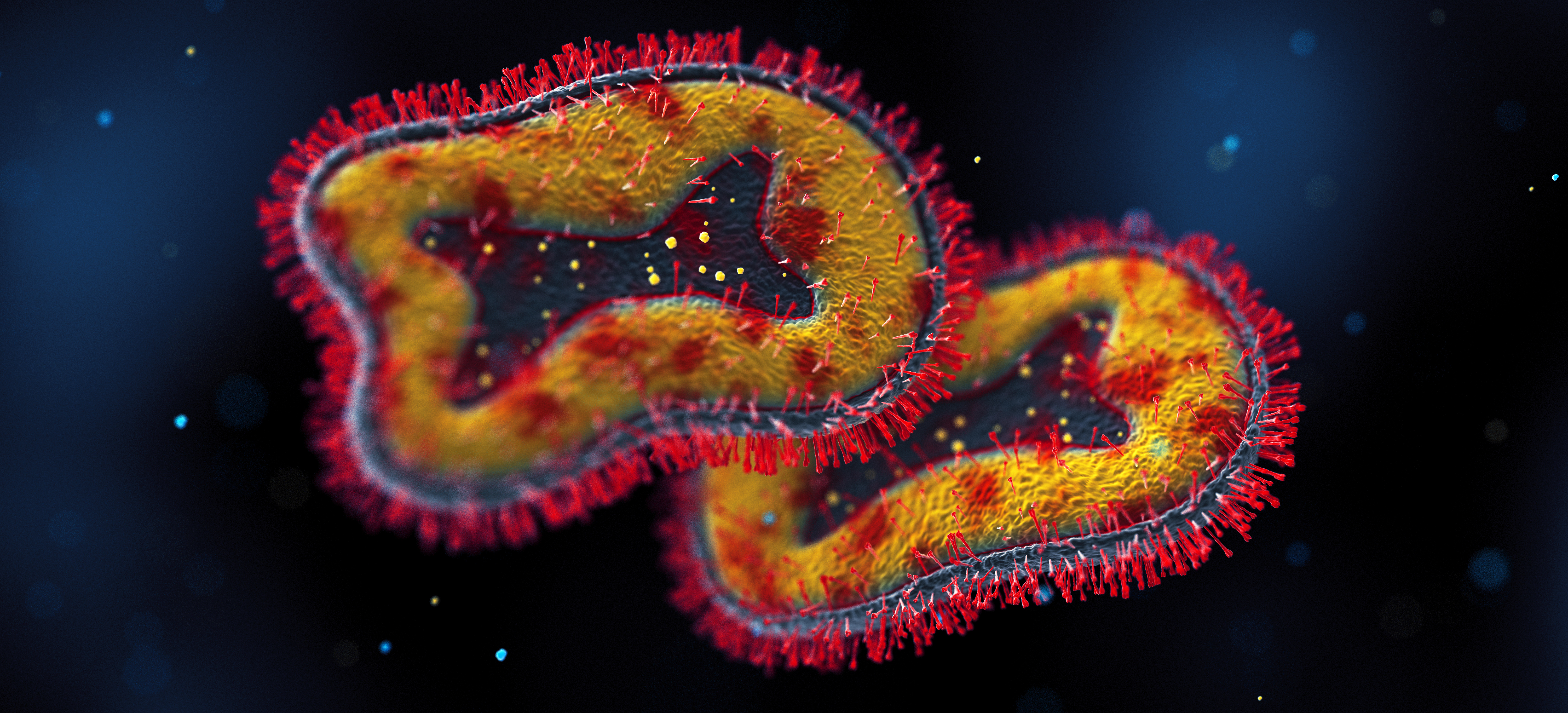 MPX-banner-1399087139