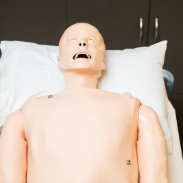 SimMan3G - Chest