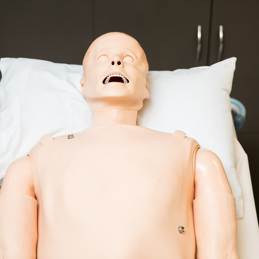 SimMan3G - Chest