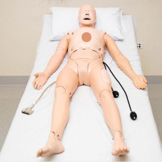 ALS-Sim-Body-Circ-sqTHMB-NEW