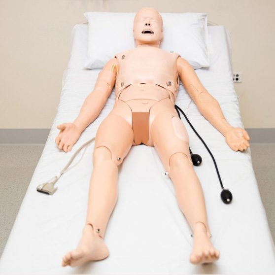 ALS-Sim-Body-Gen-sqTHMB-NEW