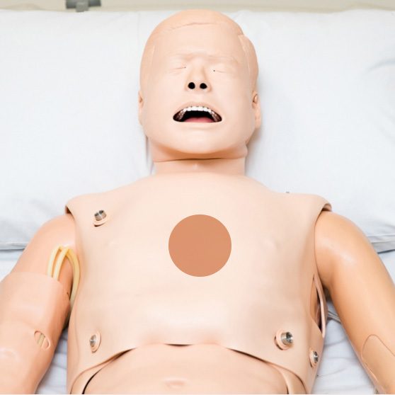 ALS-Sim-Chest-Card-sqTHMB-NEW