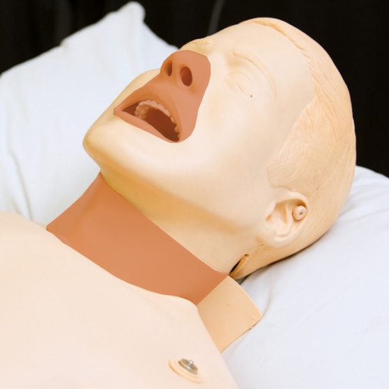 ALS-Sim-Head-Air-sqTHMB-NEW