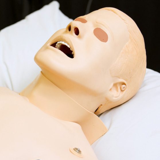 ALS-Sim-Head-Eyes-sqTHMB-NEW