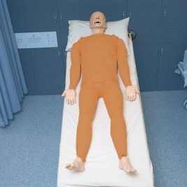 Body-Circulation-Bleeding-Convulsion