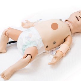 SimBaby-thumbnails-1_0007_BODY-circulation