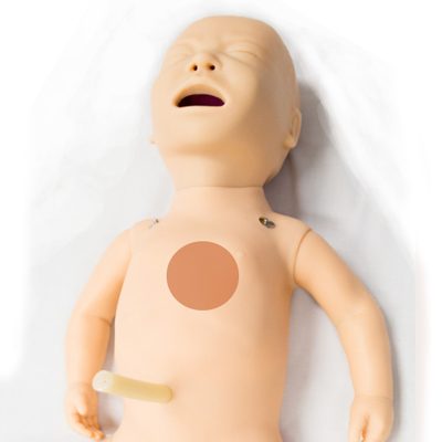 SimNewB-thumbnails-Chest-card